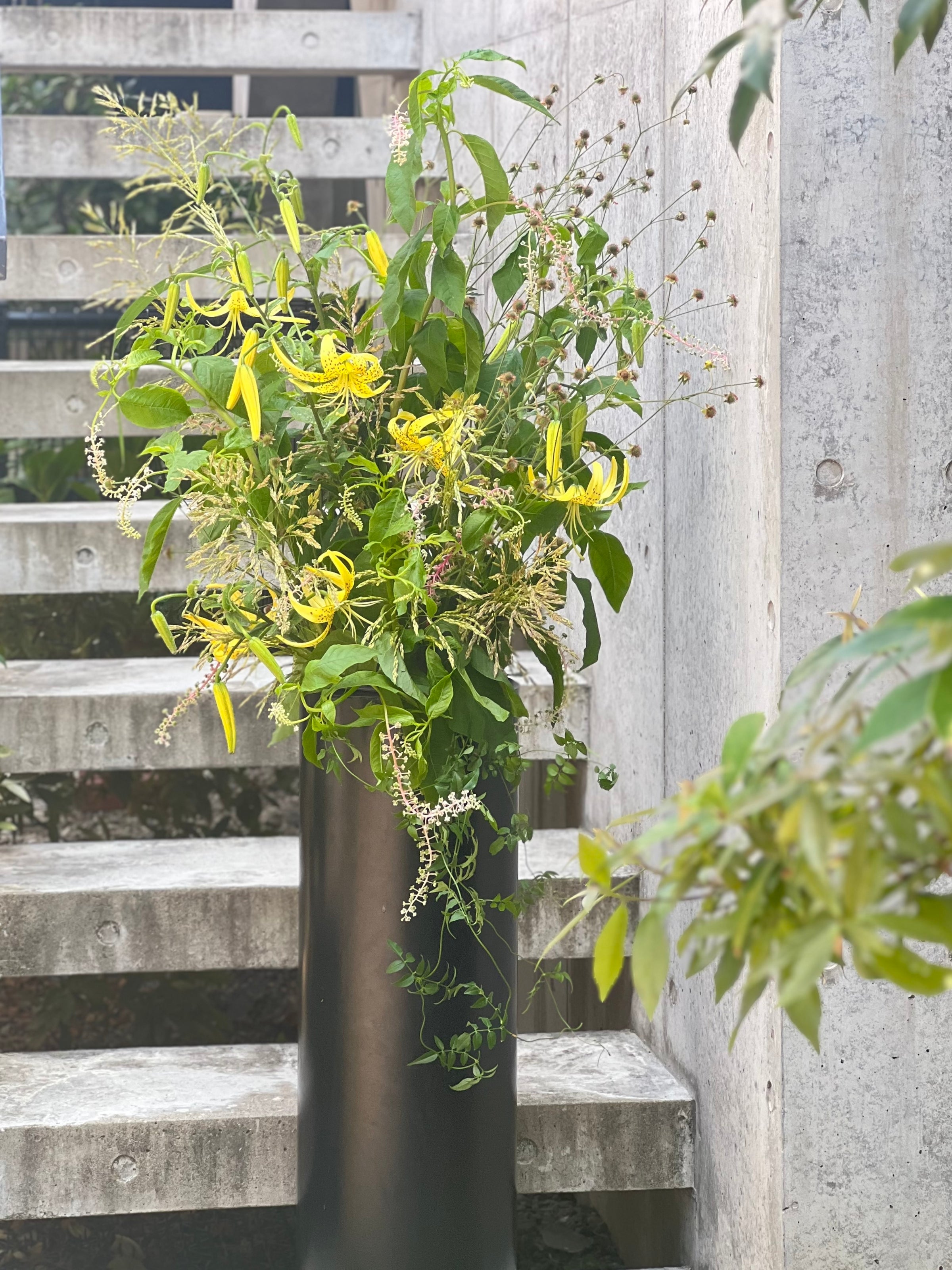 ECショップ｜気分が弾む個性的でセクシーな花も、心安らぐ癒しの花も